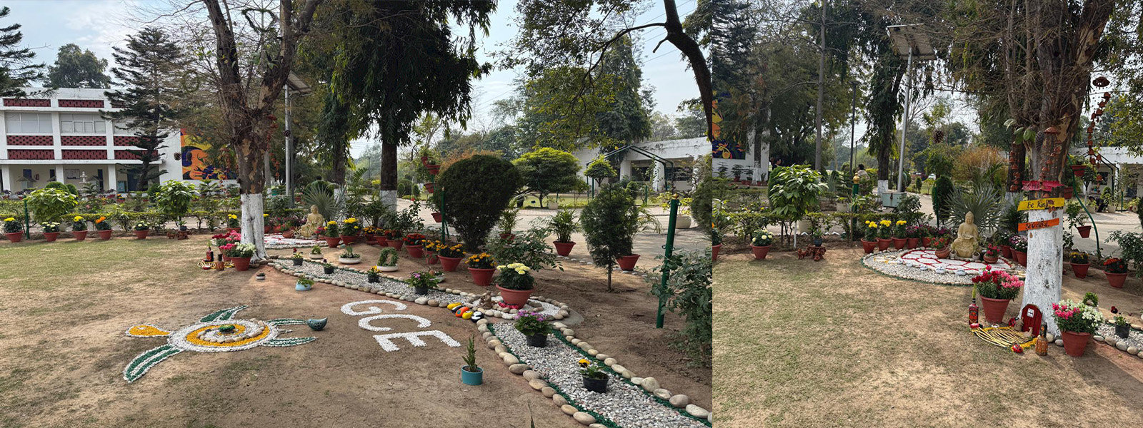 athletic meet 2024-3